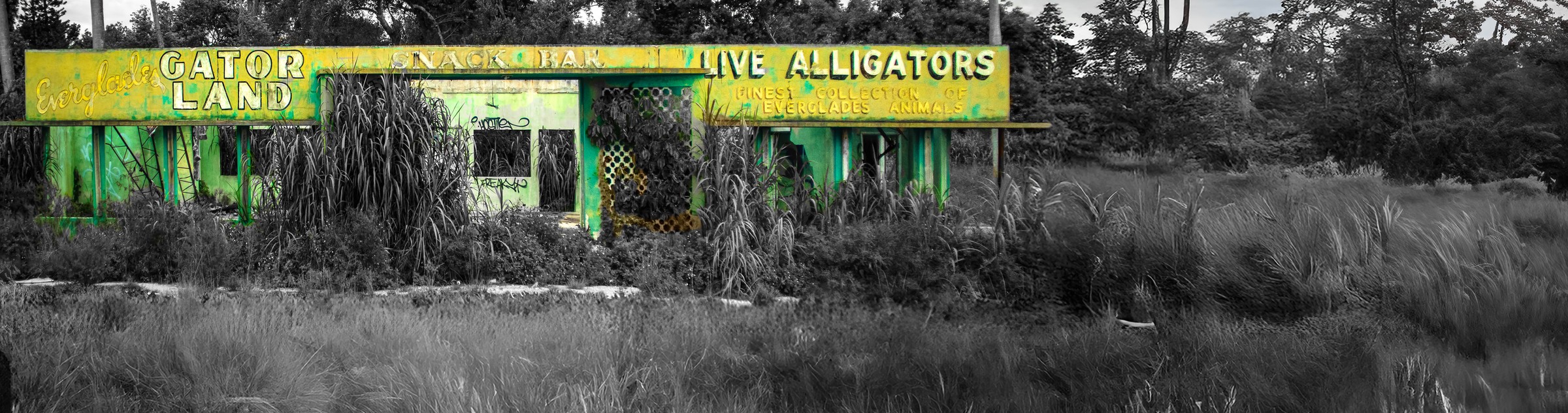 Green and yellow abandoned Gator Land building surrounded by vegetation