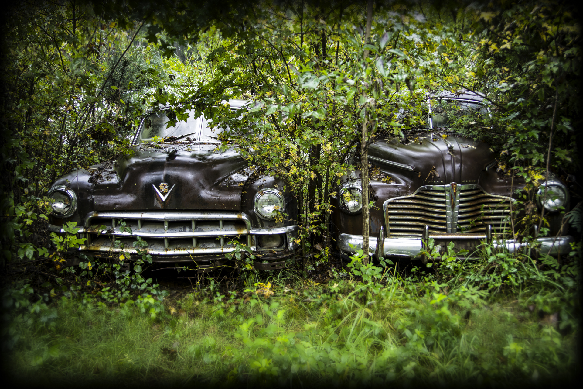 Two Cars